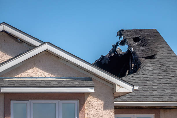 Top rated local Fire Damage Removal specialists in Spring Valley, MN